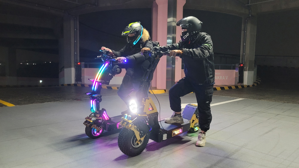 WEPED Dark Knight Standing Electric Scooter Engineers